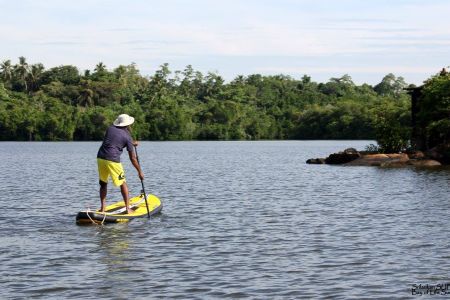 Standup_Paddle_-_Madu_Ganga_lake-_Srilanka_-_Kumaran.jpg